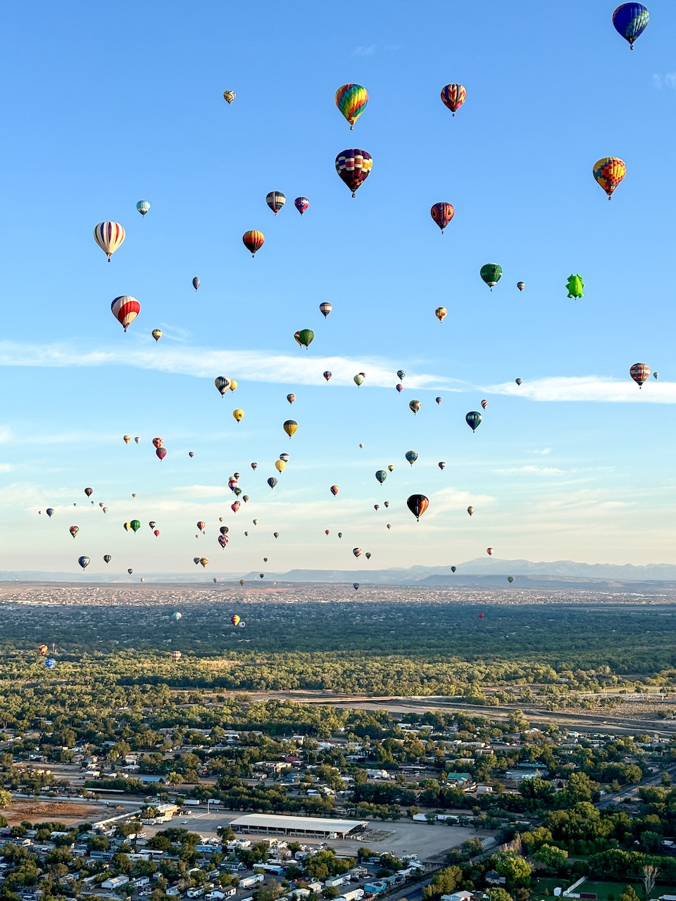 hot air balloons in the sky