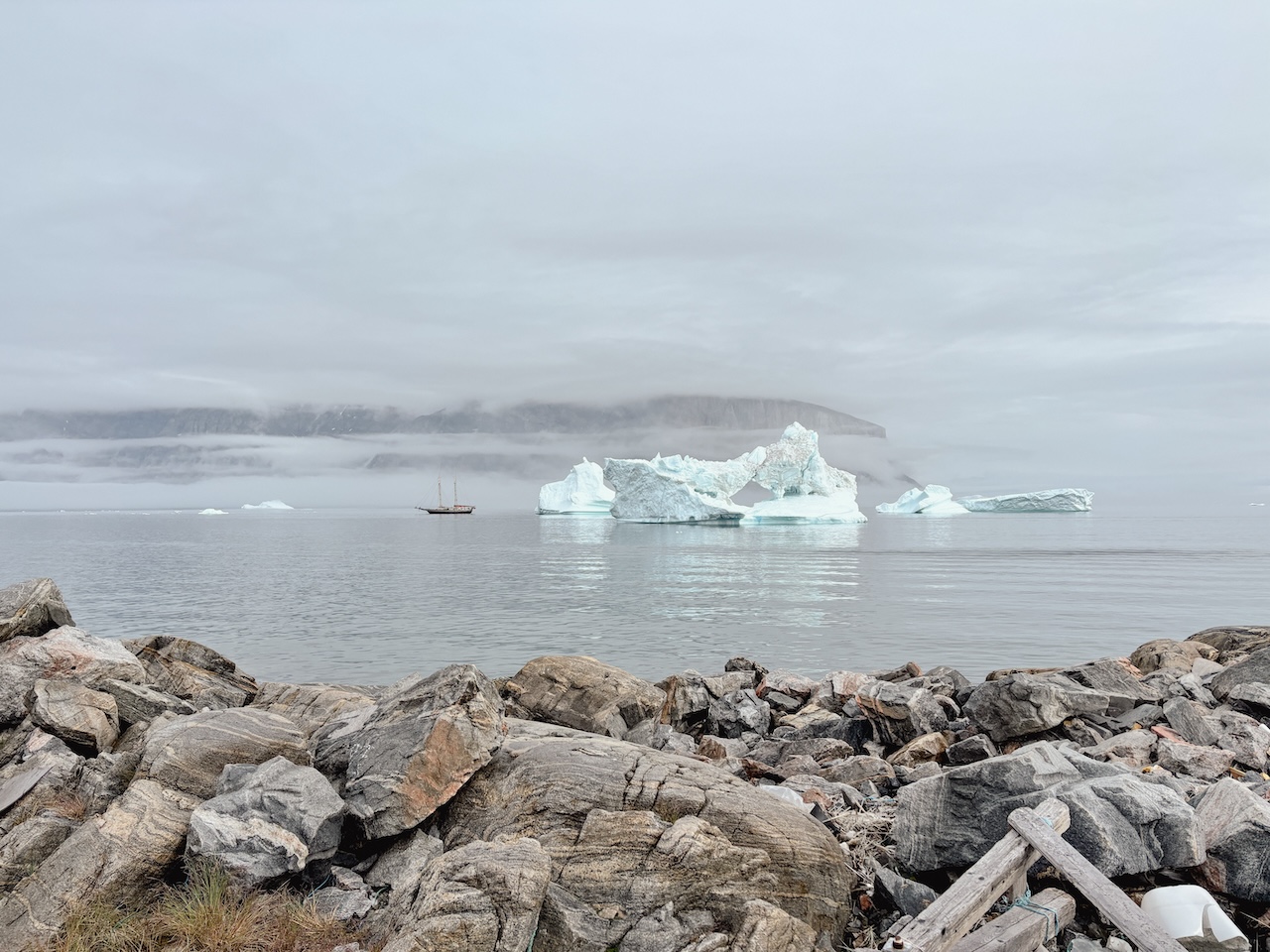 icebergs in Greenland