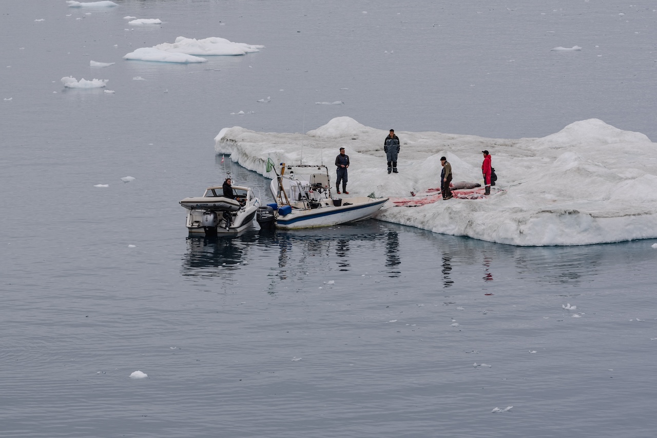seal hunting in Greenland