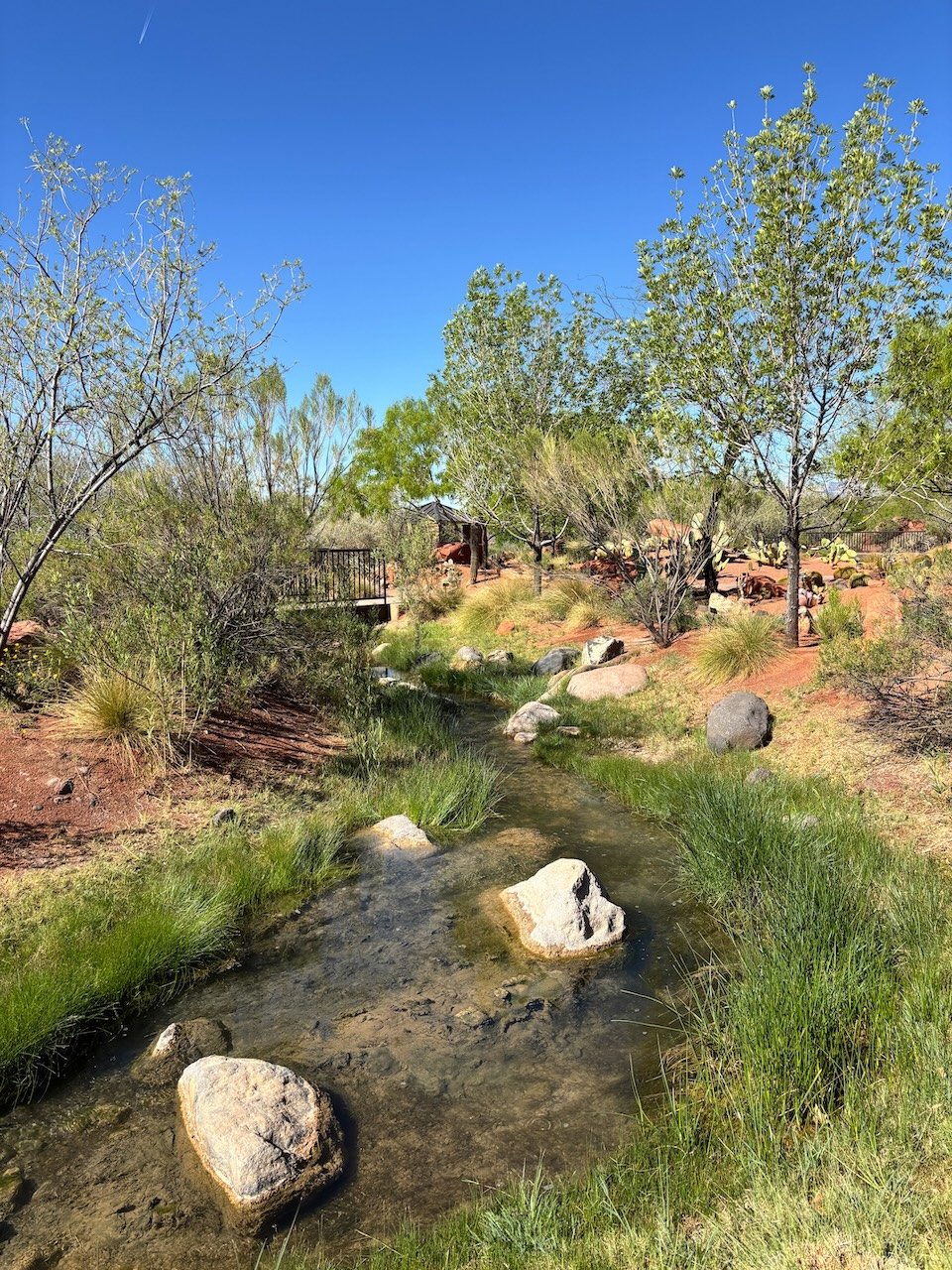 Things to do Near Zion National Park red hills desert gardens, St. George Utah