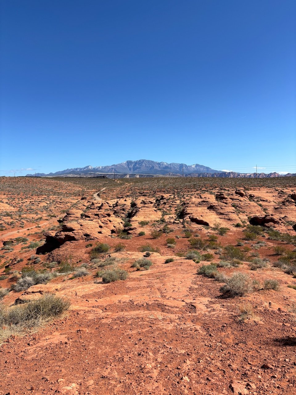 Things to do Near Zion National Park red hills desert gardens, st. george Utah