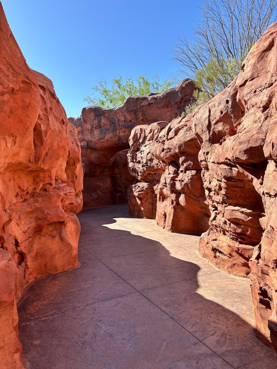 Things to do Near Zion National Park red hills desert gardens, St. George Utah