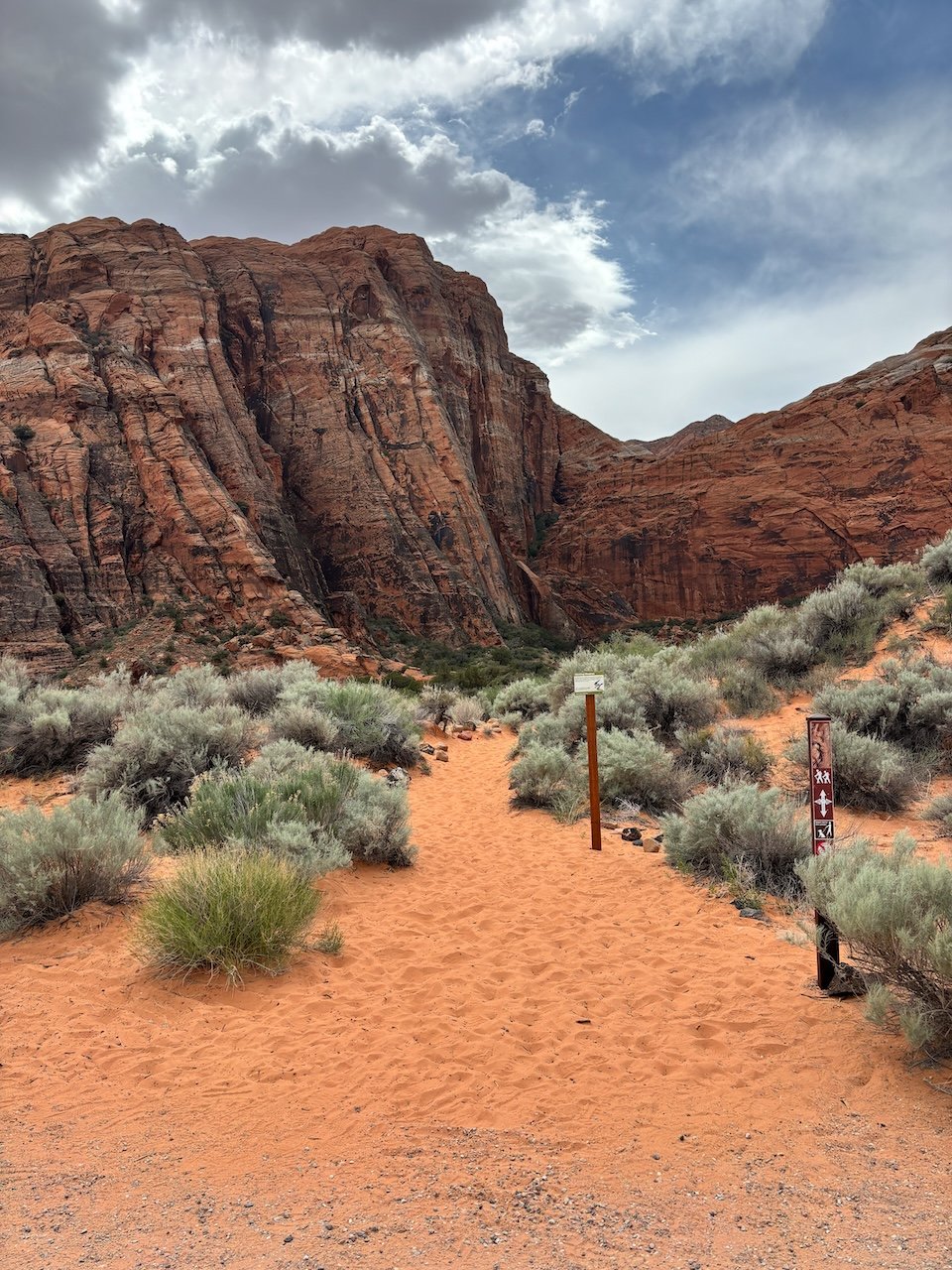 Things to do Near Zion National Park snow canyon state park, greater zion