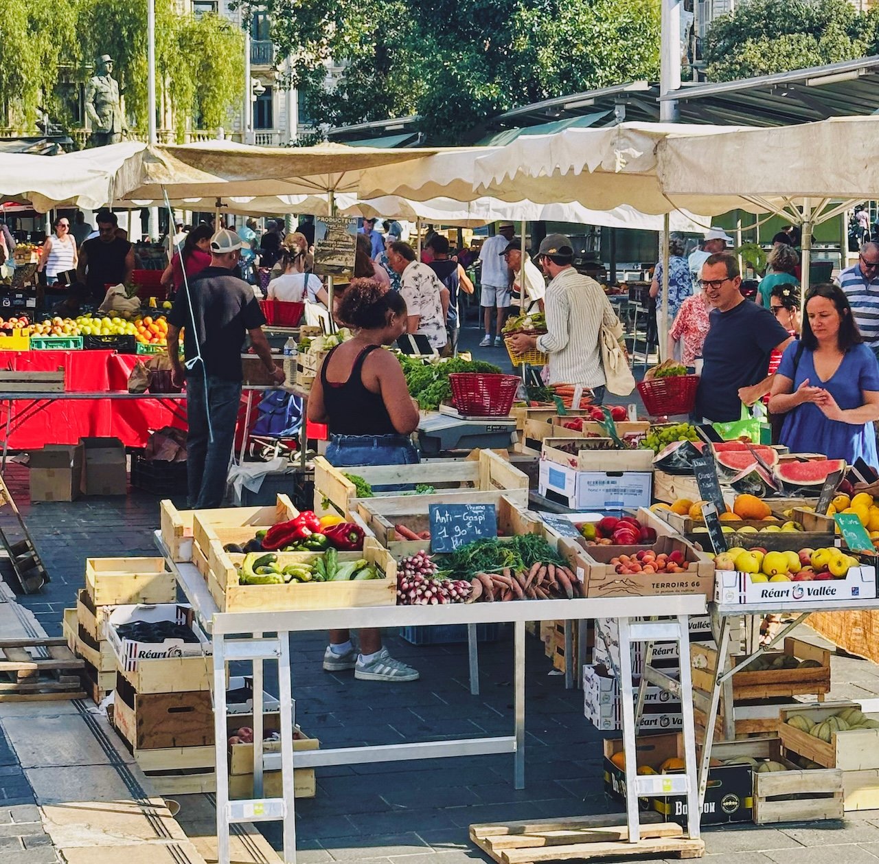 nice france, morning market