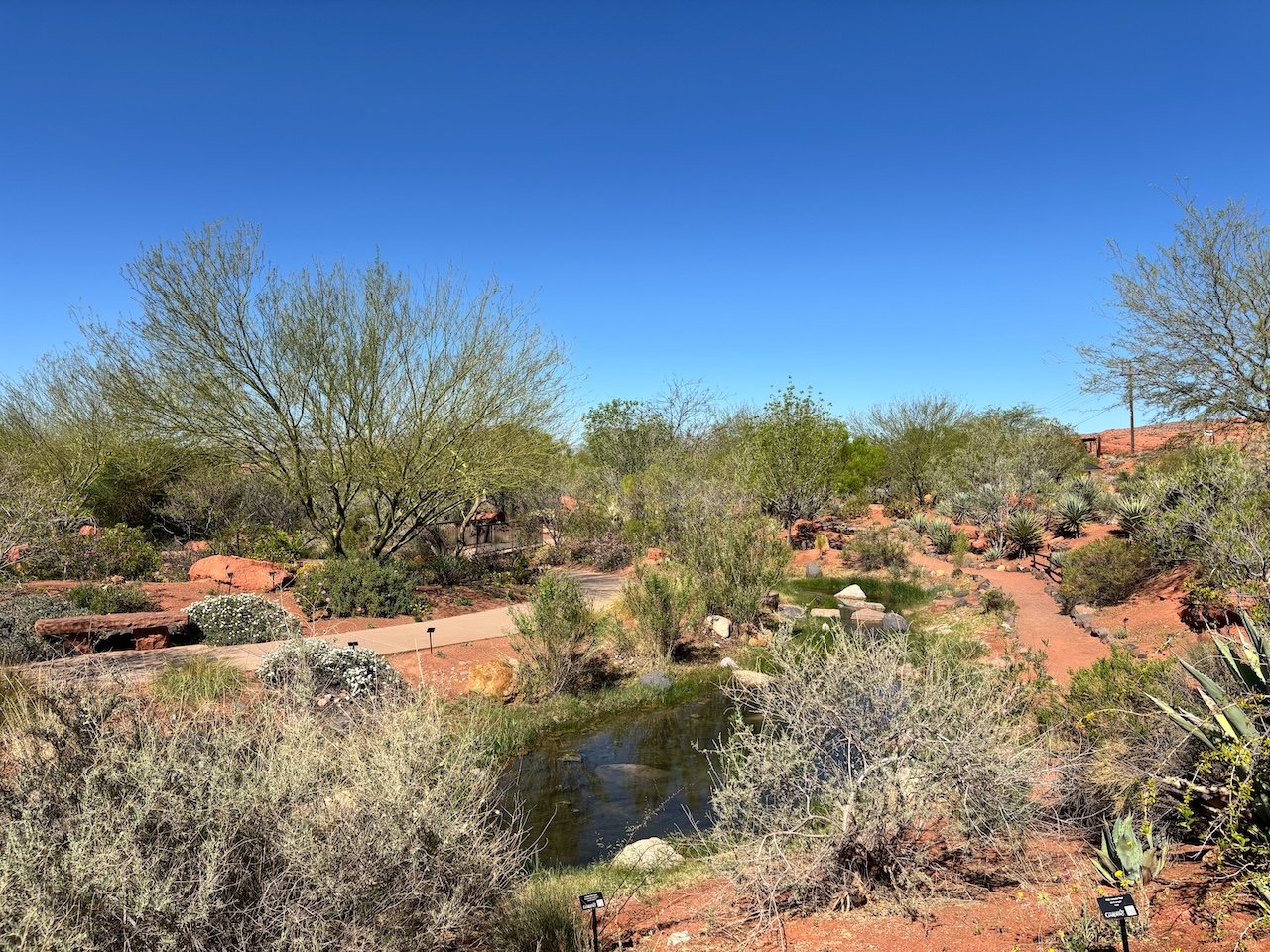 Red Hills Desert Garden red hills desert gardens
