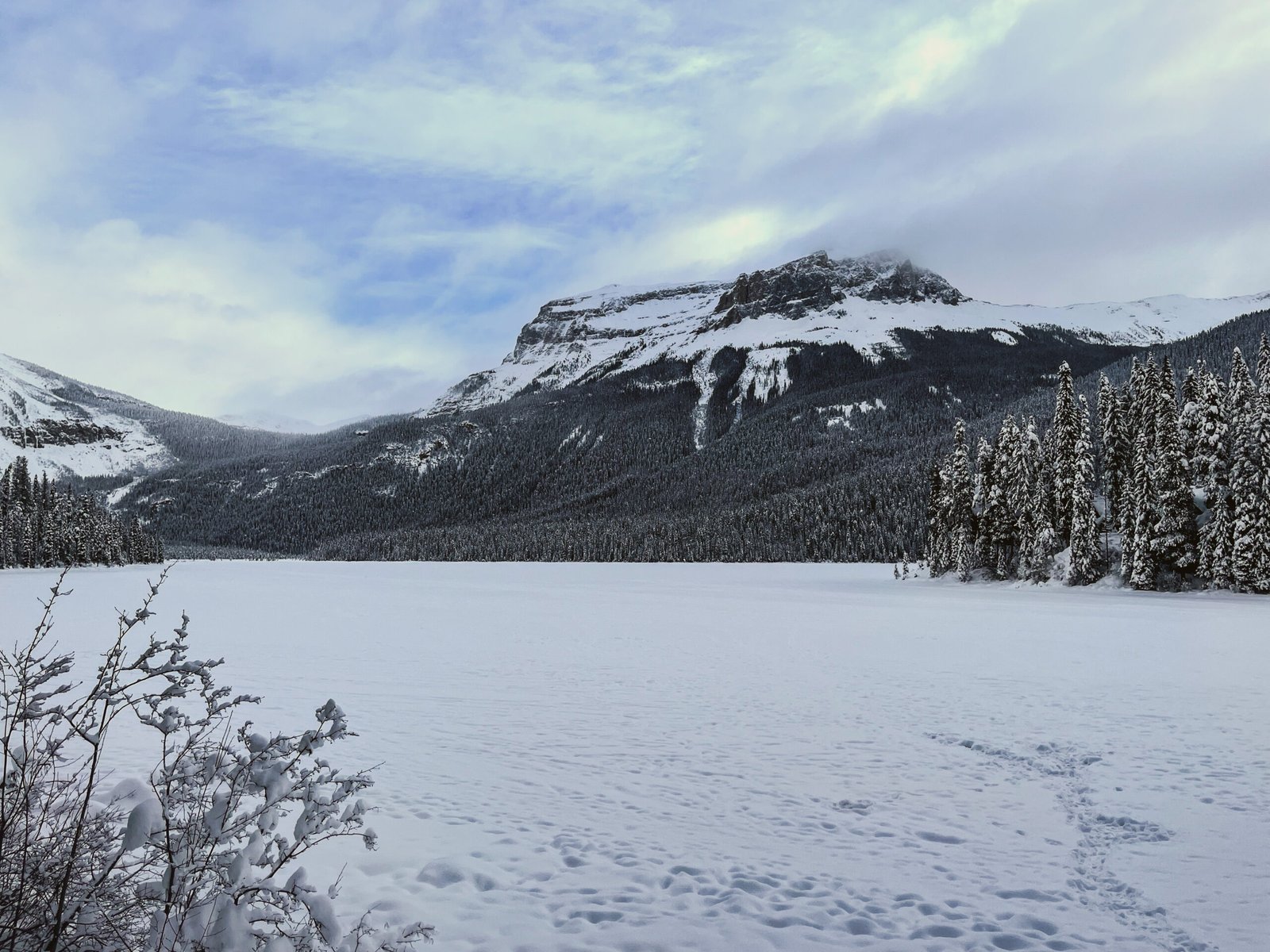 golden british columbia yoho emerald lake