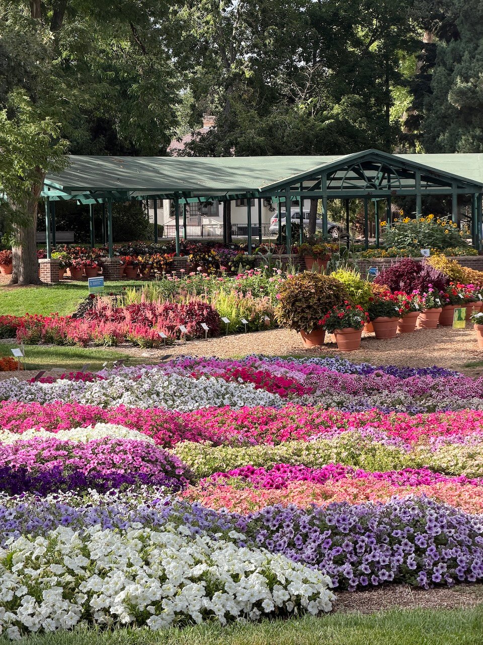 Fort Collins gardens, CSU trial garden