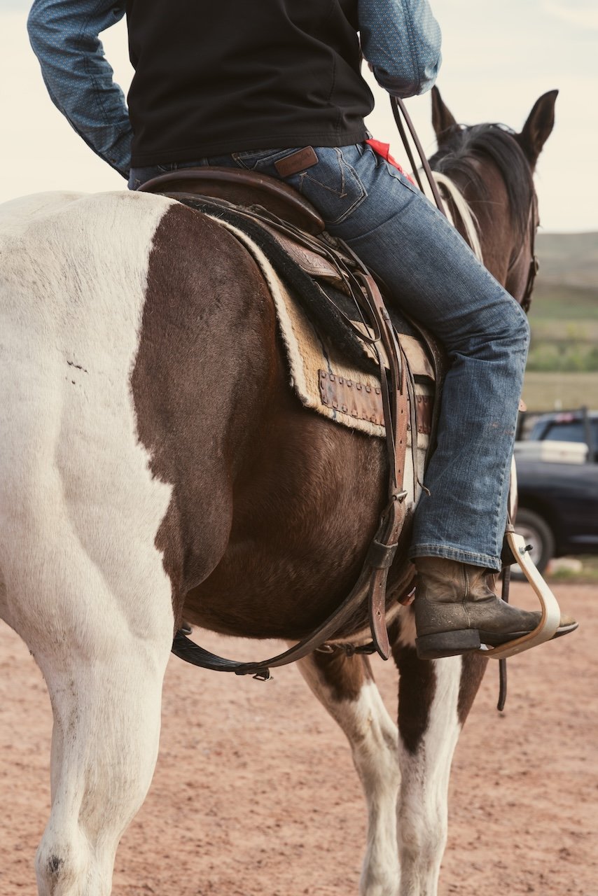 Saddle Up For The Custer State Park Buffalo Roundup buffalo roundup south dakota