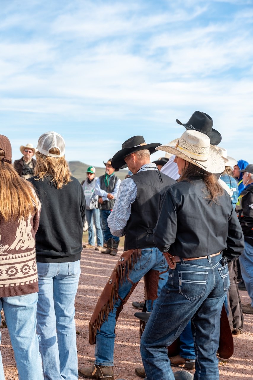 Saddle Up For The Custer State Park Buffalo Roundup buffalo roundup south dakota