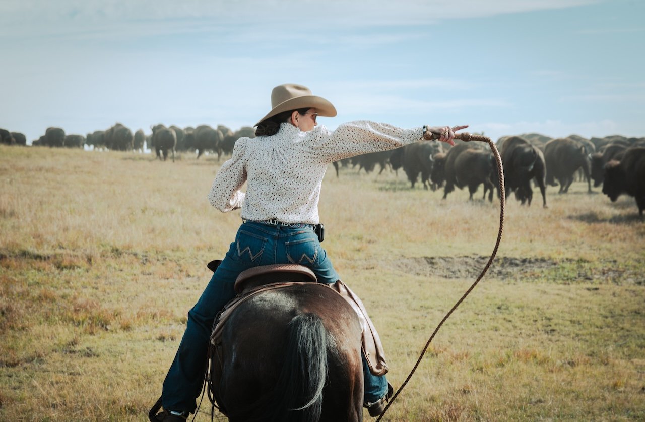 Saddle Up For The Custer State Park Buffalo Roundup buffalo roundup custer state park